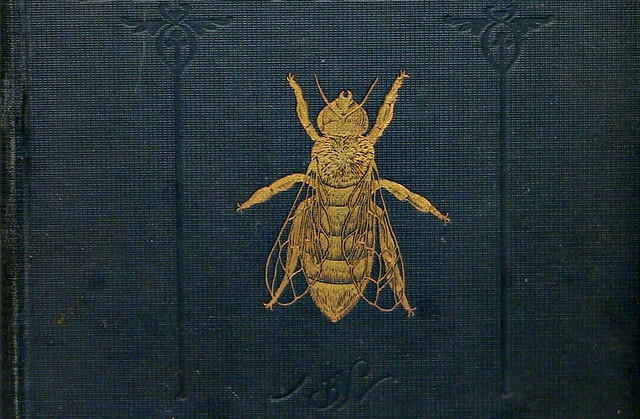 ABC and XYZ of Bee Culture book image