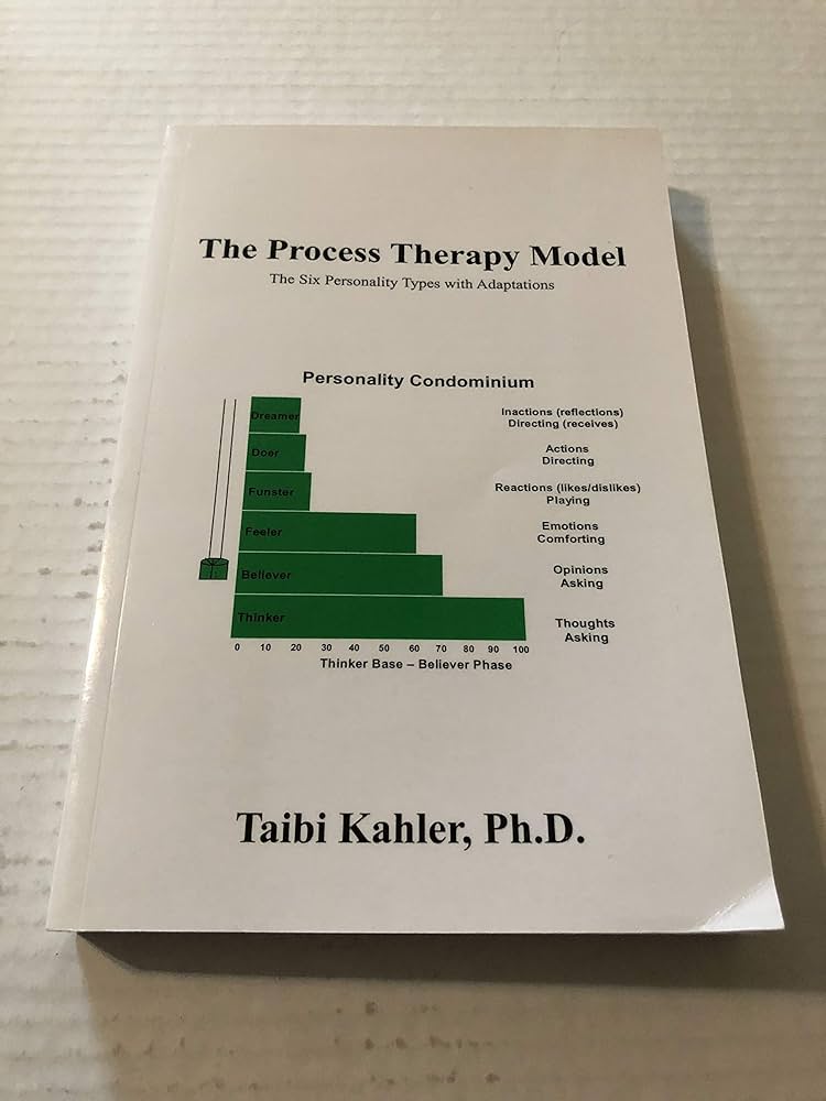The Process Therapy Model book image
